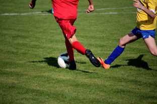 开云体育入口-体育文化节活动预告，体育文化节活动流程